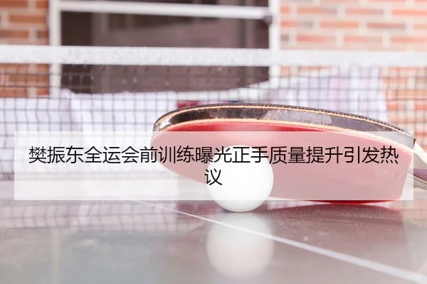 樊振东全运会前训练曝光正手质量提升引发热议
